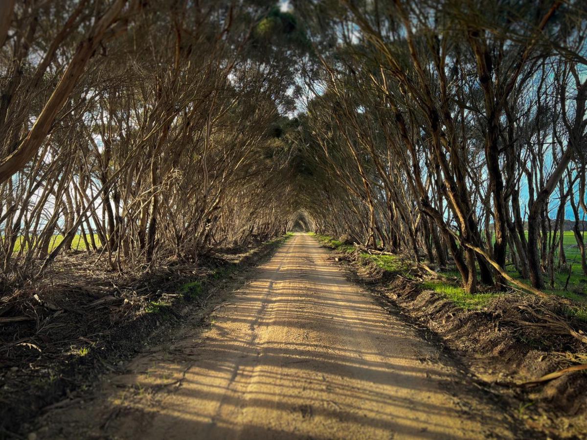 Cabn Kangaroo Island Penneshaw Exterior foto